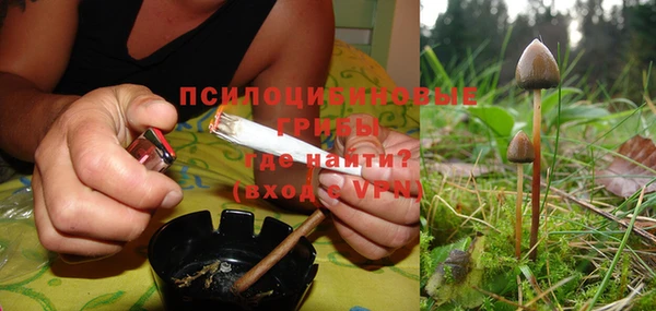 ALPHA PVP Белокуриха
