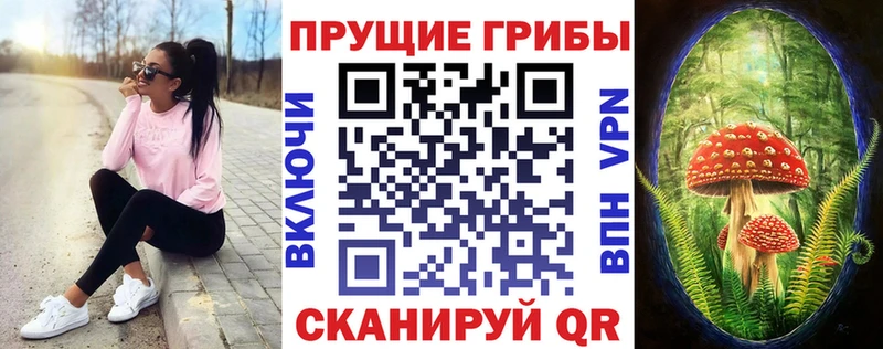 Галлюциногенные грибы Cubensis  Купить где  Городовиковск 